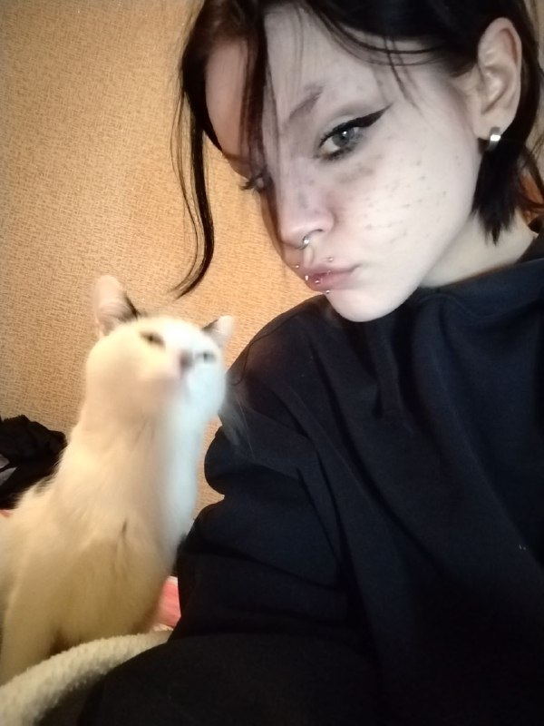 𝒀𝑨𝑵𝑪𝑯𝑬