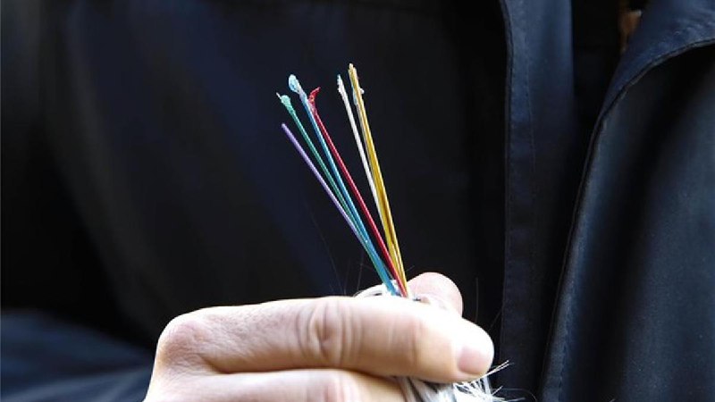 Un experimento logra por primera vez …
