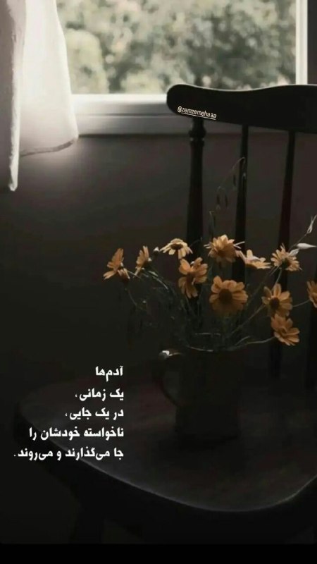 **آدم ها