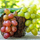 *****?*** اشعار منتخب گروه***?***
