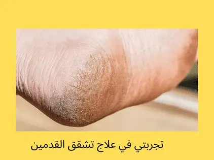 الموسوعة الطبية العربية