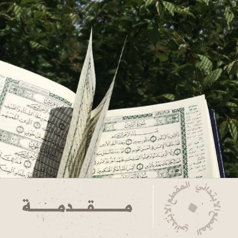 اليوم الأول I مــــــقدمة ( 0 …