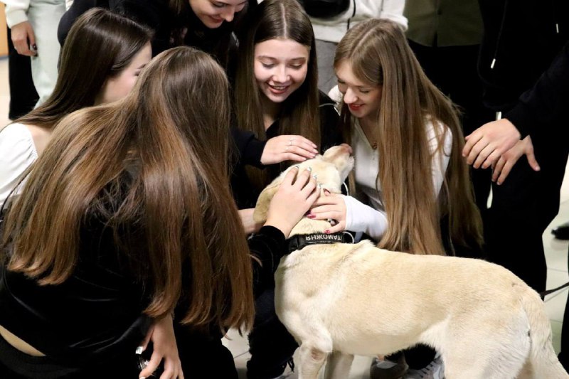 каф. Налоговой политики и таможенного дела …