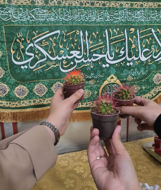 تو فکر این بودیم که ای …