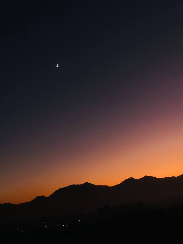 این بار