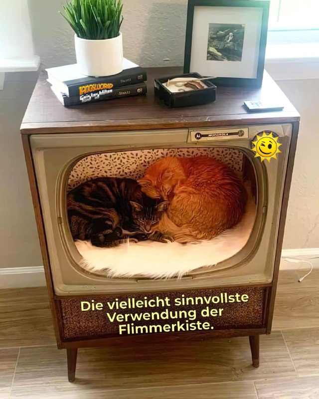 ***😸*** **Katzen Fernseher - Geistes(bl)witze** ***😸***