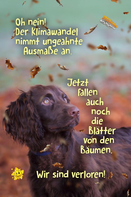 ***🍁******😉*** **Klimawandel - Geistes(bl)witze** ***😉******🍁***