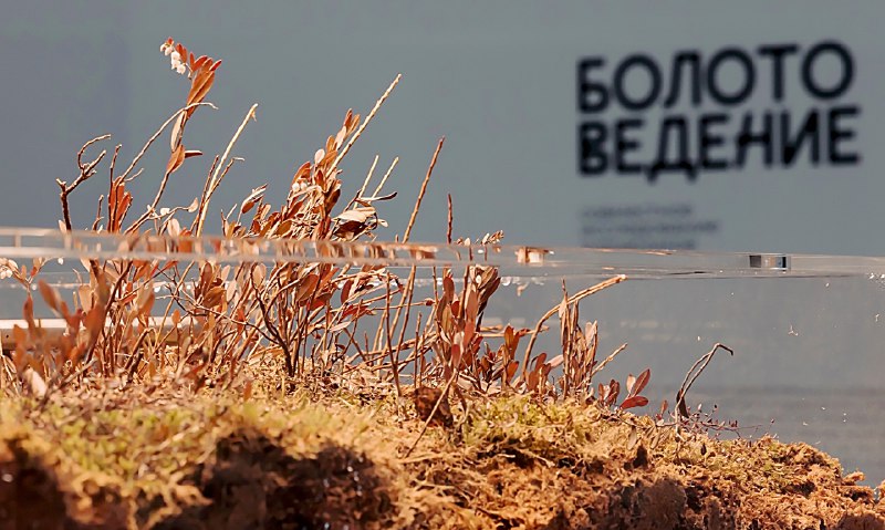 В Нижнем Новгороде [проходит](https://www.theartnewspaper.ru/posts/20241128-yzjq/) совместная выставка …