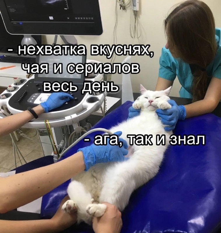 Психология с Шибановой