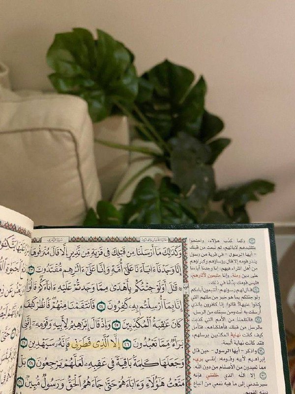 القرآن يُصلِح فيك كل ما عجزت …