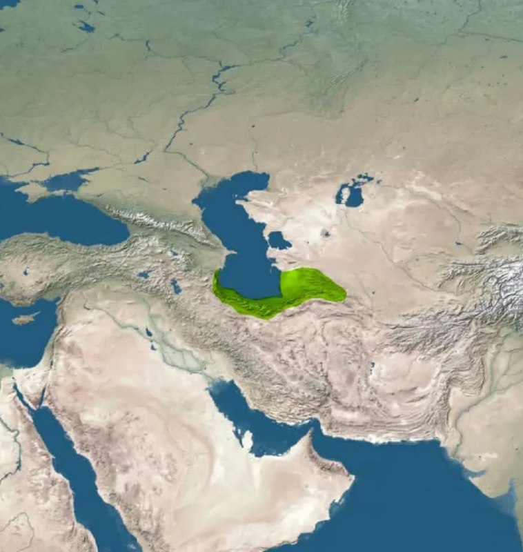 دودمان گاوبارگان یا سلسله دابویگان یا …