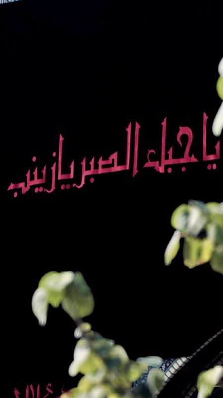 ***♦️*** [#ام\_المصائب](?q=%23%D8%A7%D9%85_%D8%A7%D9%84%D9%85%D8%B5%D8%A7%D8%A6%D8%A8)