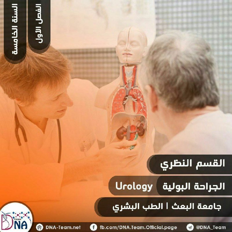 [#الجراحة\_البولية](?q=%23%D8%A7%D9%84%D8%AC%D8%B1%D8%A7%D8%AD%D8%A9_%D8%A7%D9%84%D8%A8%D9%88%D9%84%D9%8A%D8%A9)*****?***|** [#ملاحق\_نظري](?q=%23%D9%85%D9%84%D8%A7%D8%AD%D9%82_%D9%86%D8%B8%D8%B1%D9%8A)*****?***