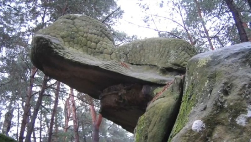 Le bestiaire fantastique de Fontainebleau