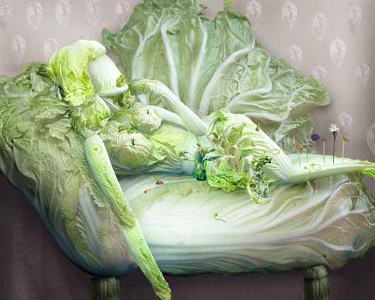 Cabbage was considered a wonder drug.