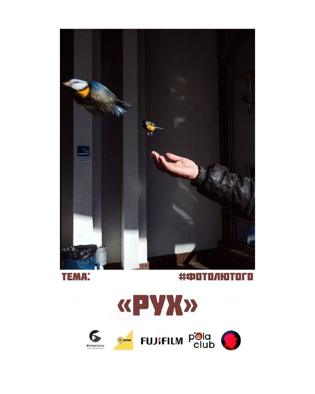 Тема фоточеленджу «Фотомісяць» на лютий — …