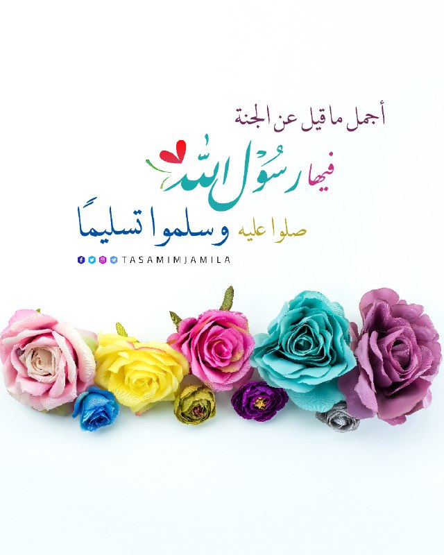 تصاميم جميلة
