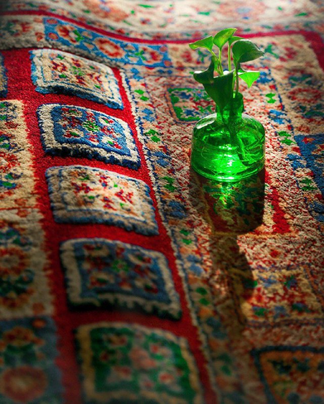 **وامید را در میان