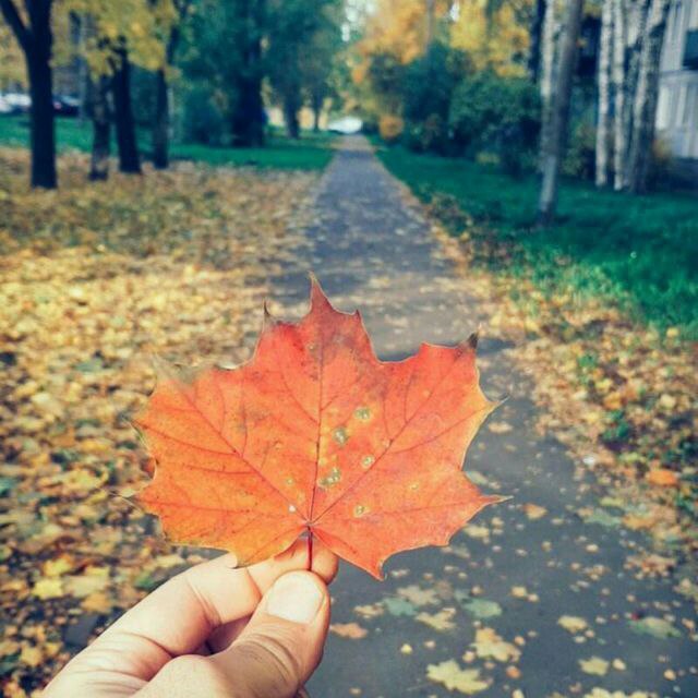 Сохталикни ӯргатинг менга