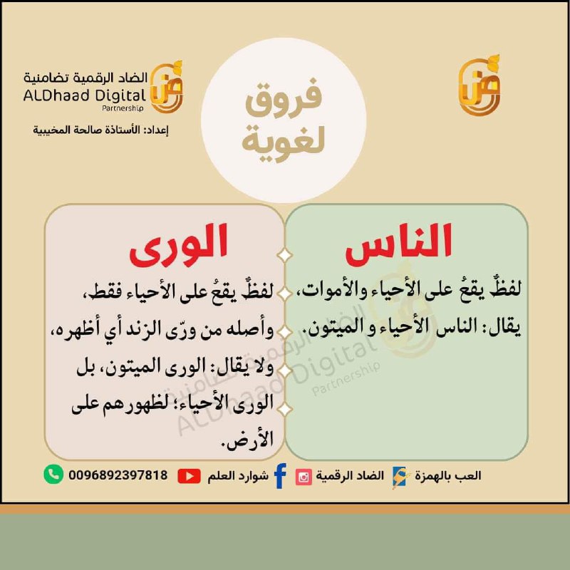 #تصويبات_هالة_تسكام