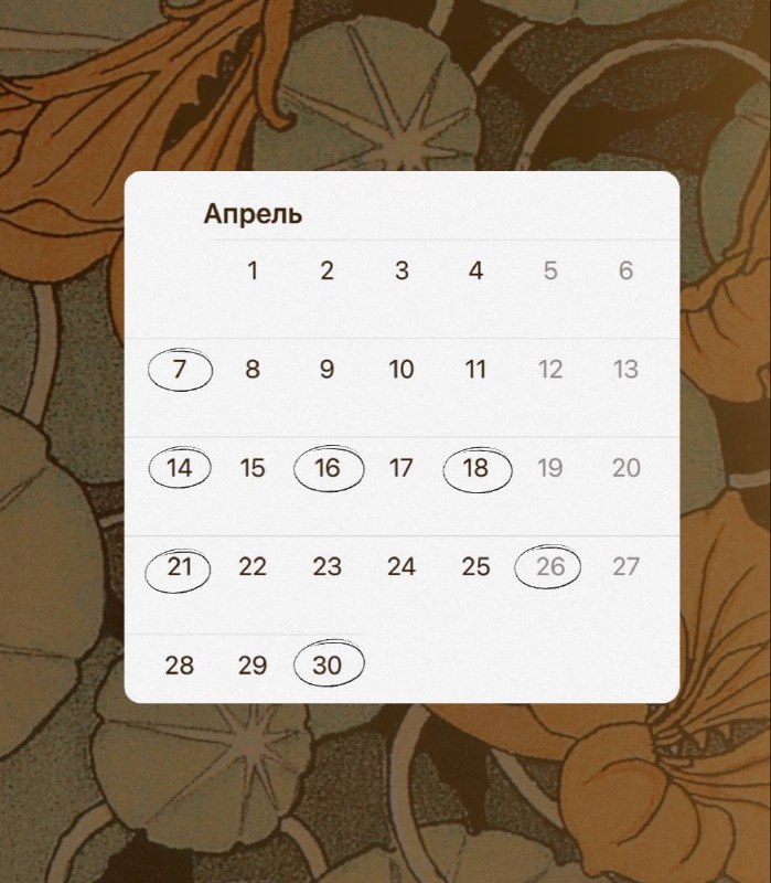 Актуальное расписание***🧡***