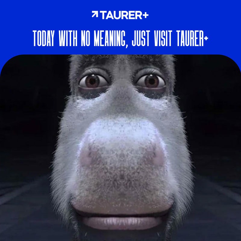 ***?*** [taurerplus.org](https://taurerplus.org/)