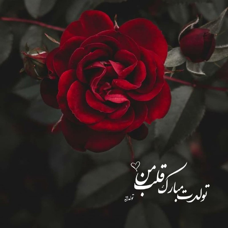 تولدت مبارک قلب من ***❤️******❤️***