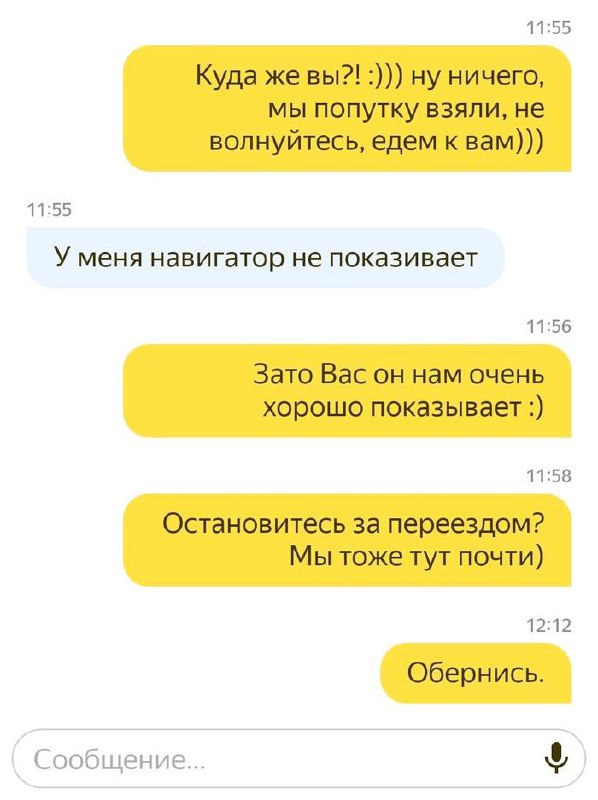 С некоторыми пассажирами шутки плохи