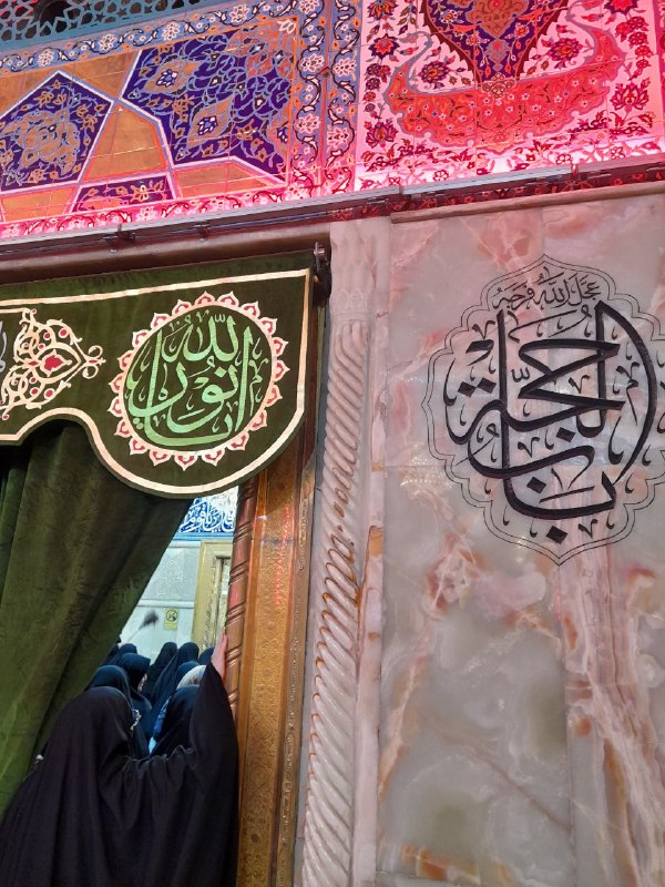 سَالڤيَا .