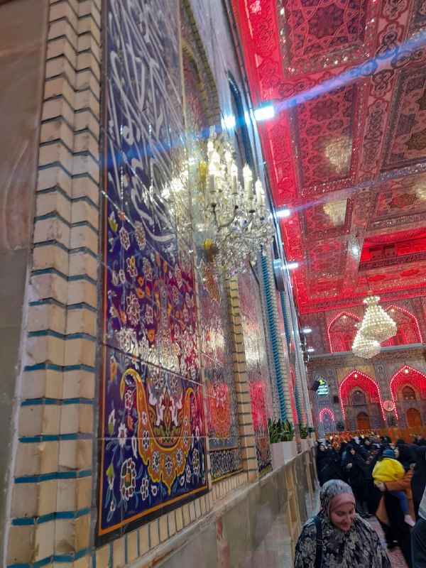 سَالڤيَا .