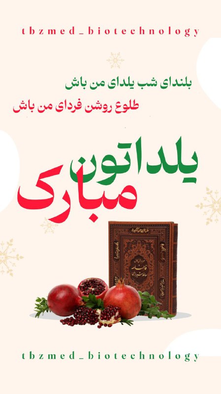 یلدا یعنی یادمان باشد که زندگی …
