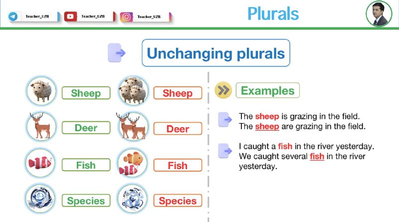 ***🔔*** **Unchanging plurals**