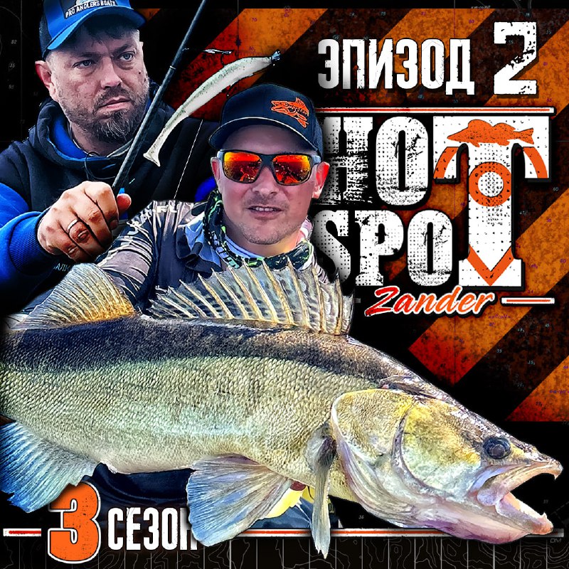 *****🔥***** **HOT SPOT Zander ***💥*** 3 …