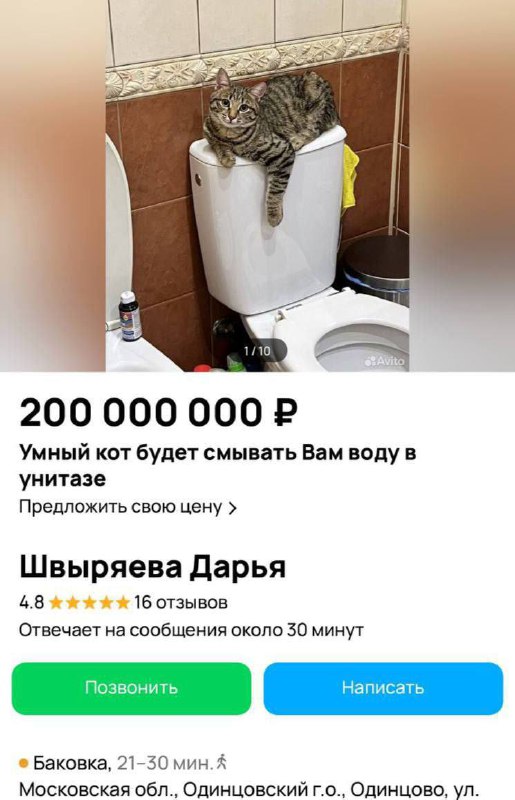 На Авито выставили на продажу выставили …