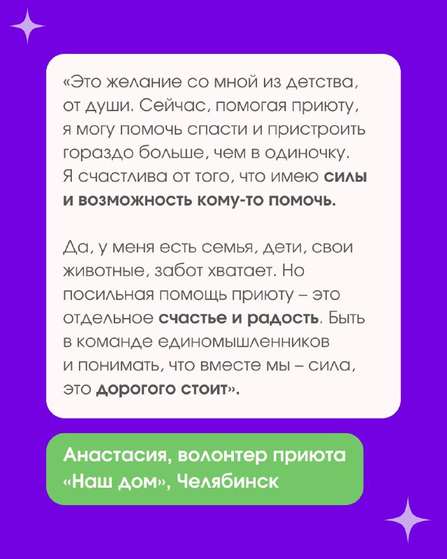 TEDDY FOOD: помощь животным online