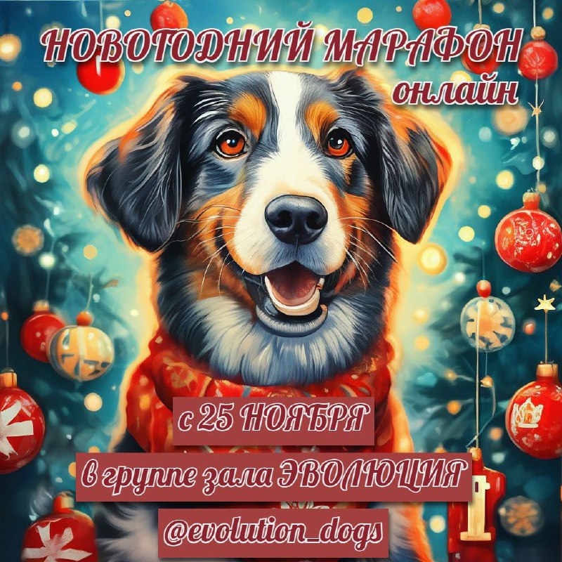 Приглашаем на НОВОГОДНИЙ ТРЮКОВОЙ МАРАФОН Онлайн!