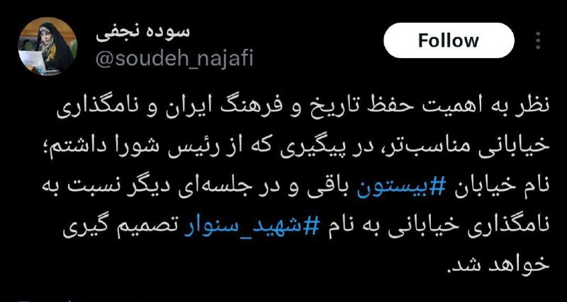 ***🔺*** **عضو شورای شهر تهران: