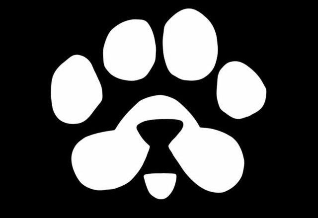 ***?*** **ربات جدید و عجیب PAWS …