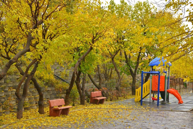 شمیران ‌۲۴