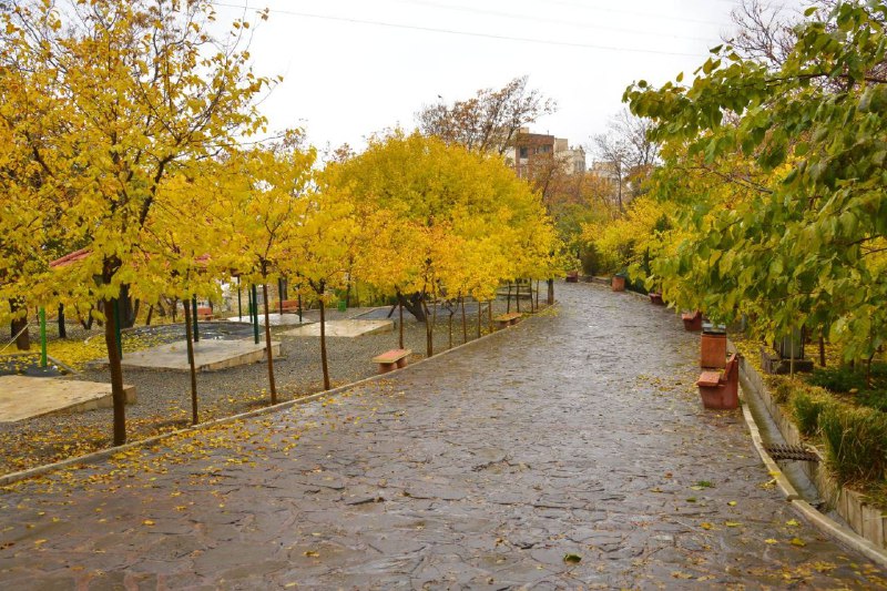 شمیران ‌۲۴