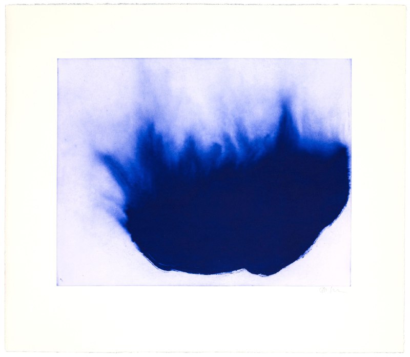 Anish Kapoor