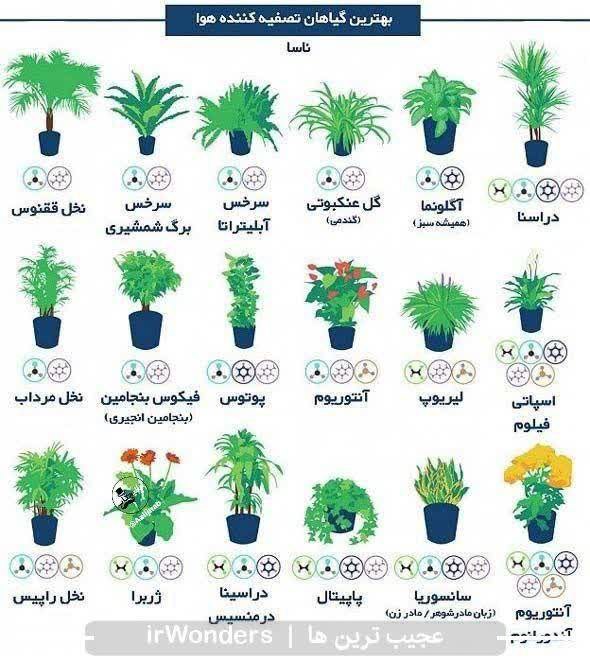 برای مقابله با آلودگی هوا در …