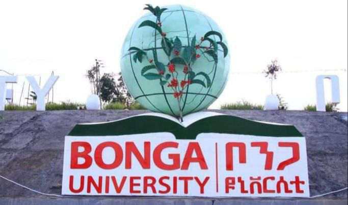 [#BongaUniversity](?q=%23BongaUniversity)