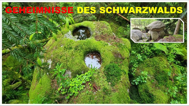 ***❇️*** Mitten im mystischen Schwarzwald verbergen …