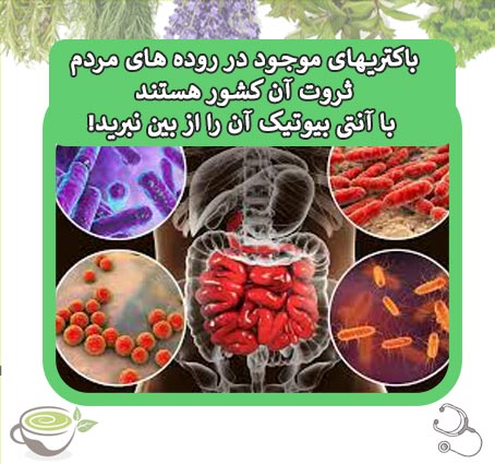 دکتر مهدی فهیمی