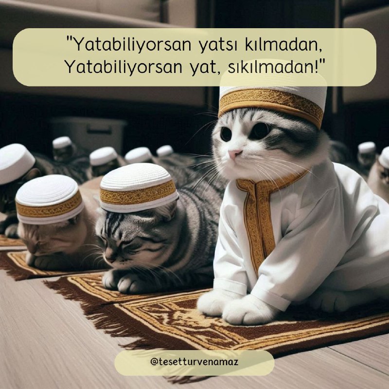 "Yatabiliyorsan yatsı kılmadan,