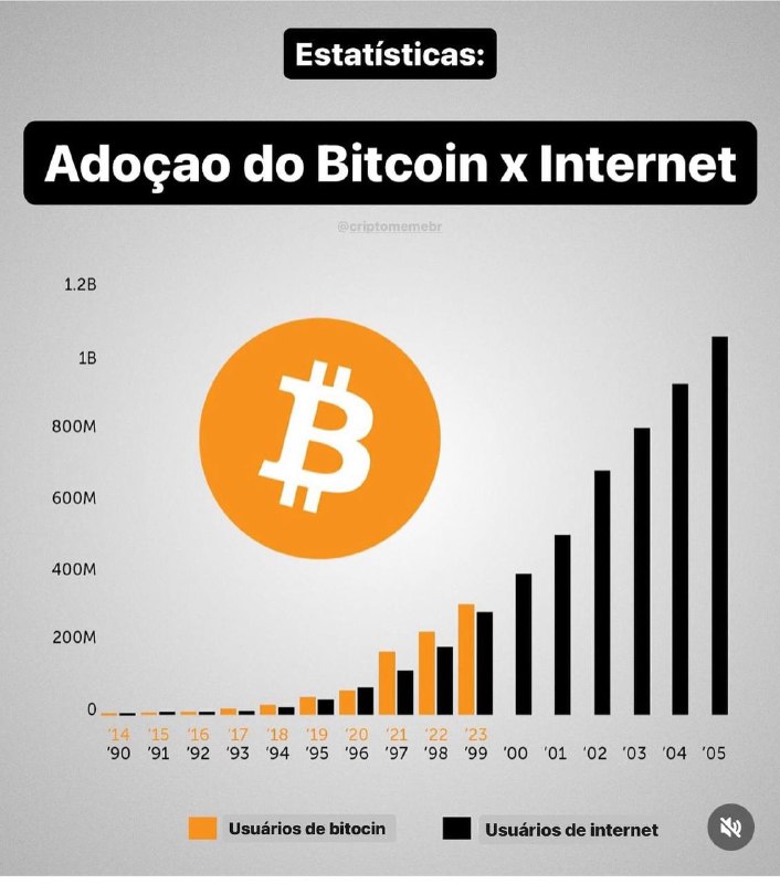 Adoção do bitcoin x internet