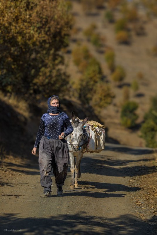 اینستاگرام ***?***