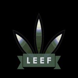 ***🌿***LEEF on WAXp is back online …