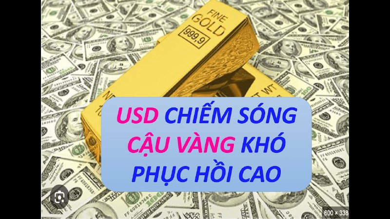 TGC Channel - Gold Forex Coin …